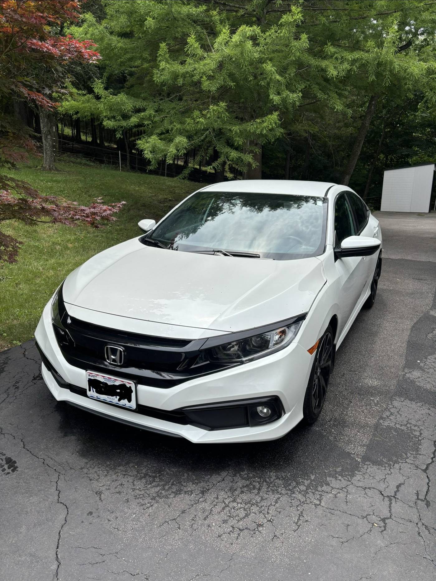 White Honda Civic detailed by Elite Detailing West County in a West County driveway