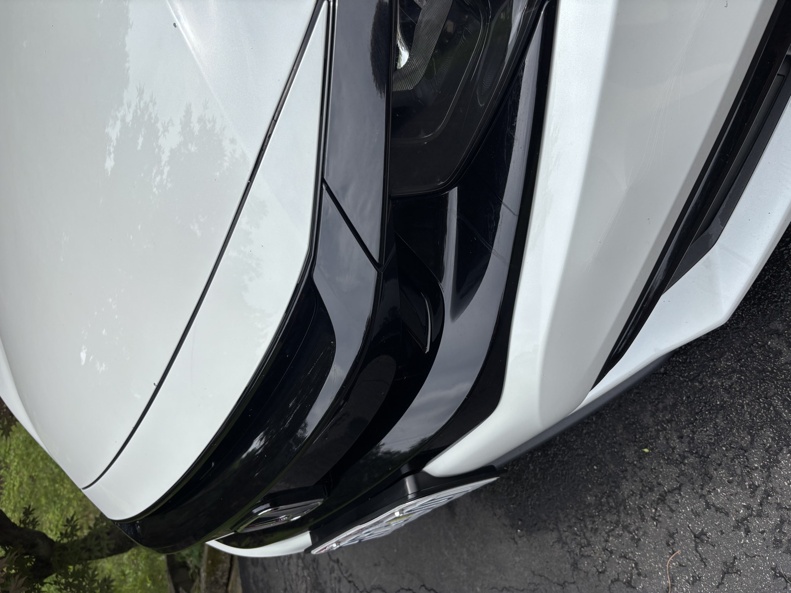 Spotless front end and trim after an Exterior Reset