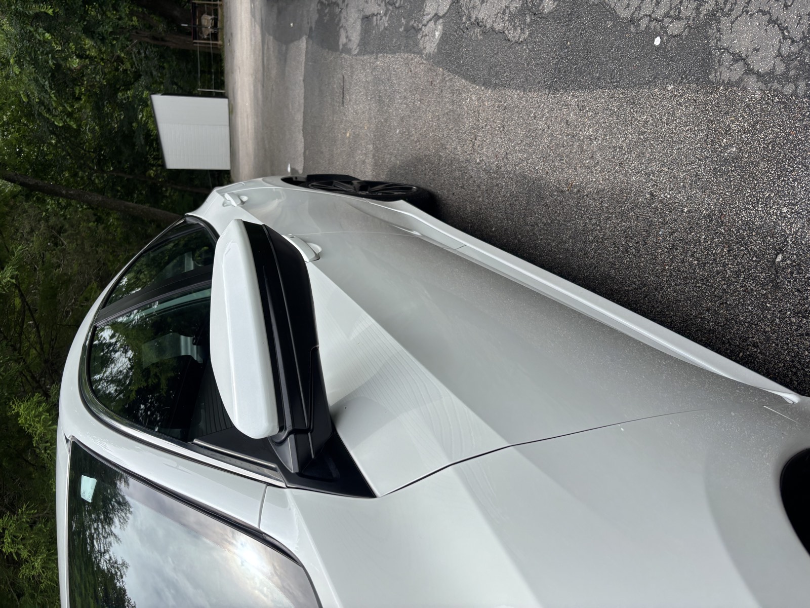Mirror-gloss paint finish on a freshly detailed hood