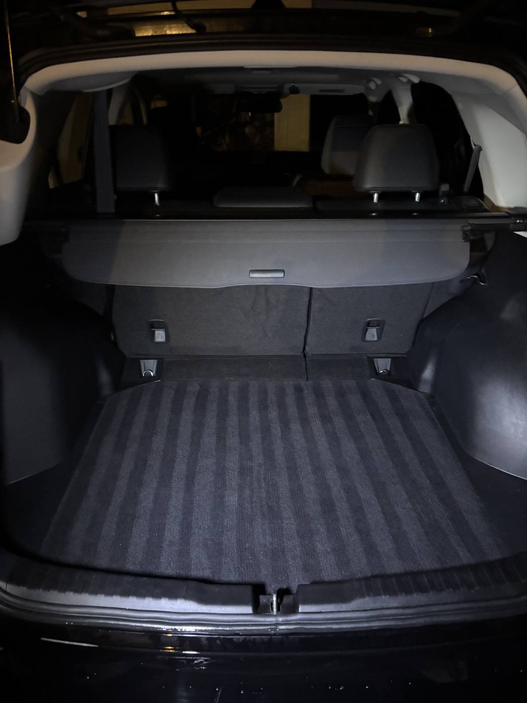Cargo area vacuumed and clean after detailing