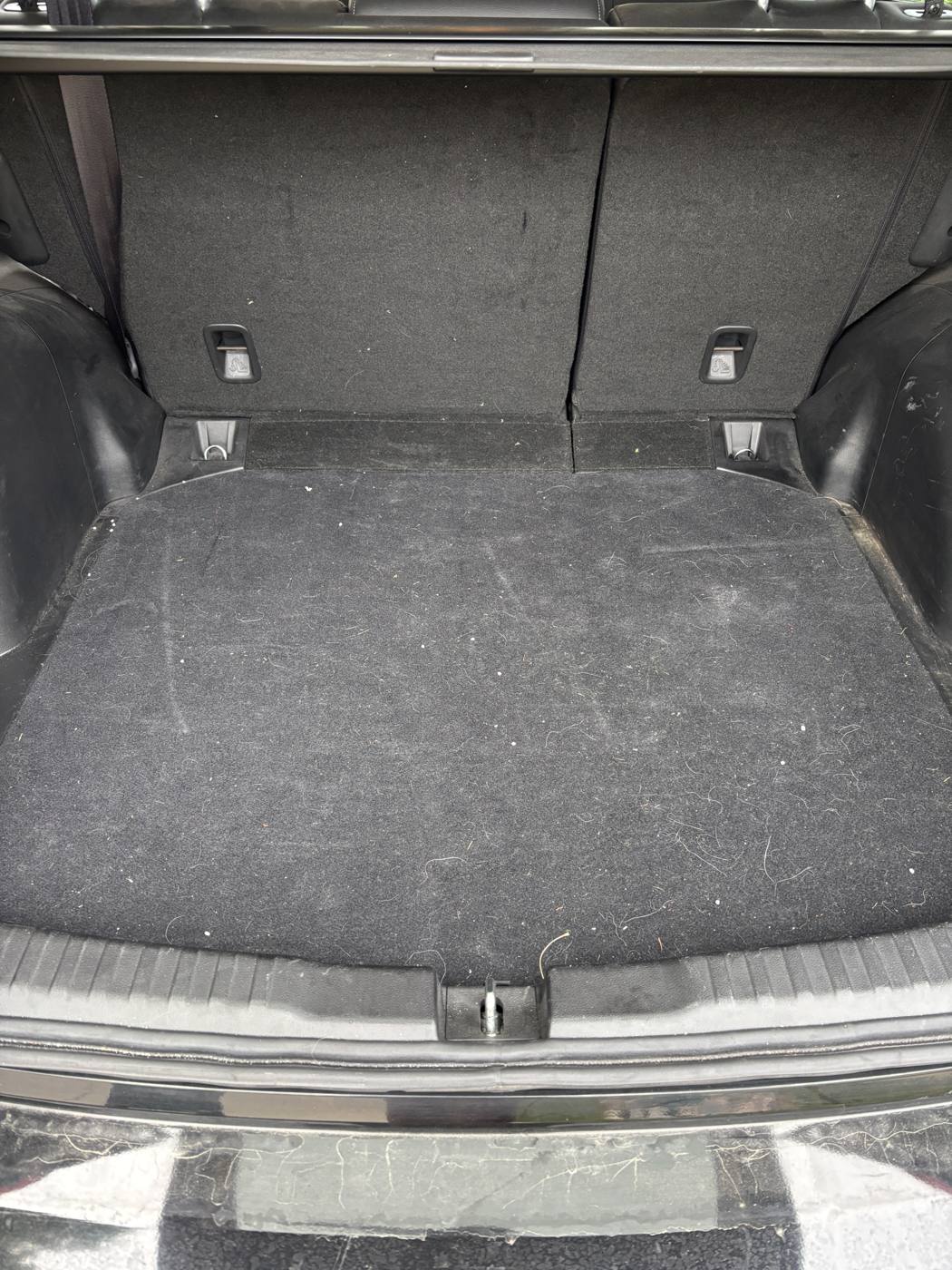 Cargo area carpet covered in hair and debris before detailing