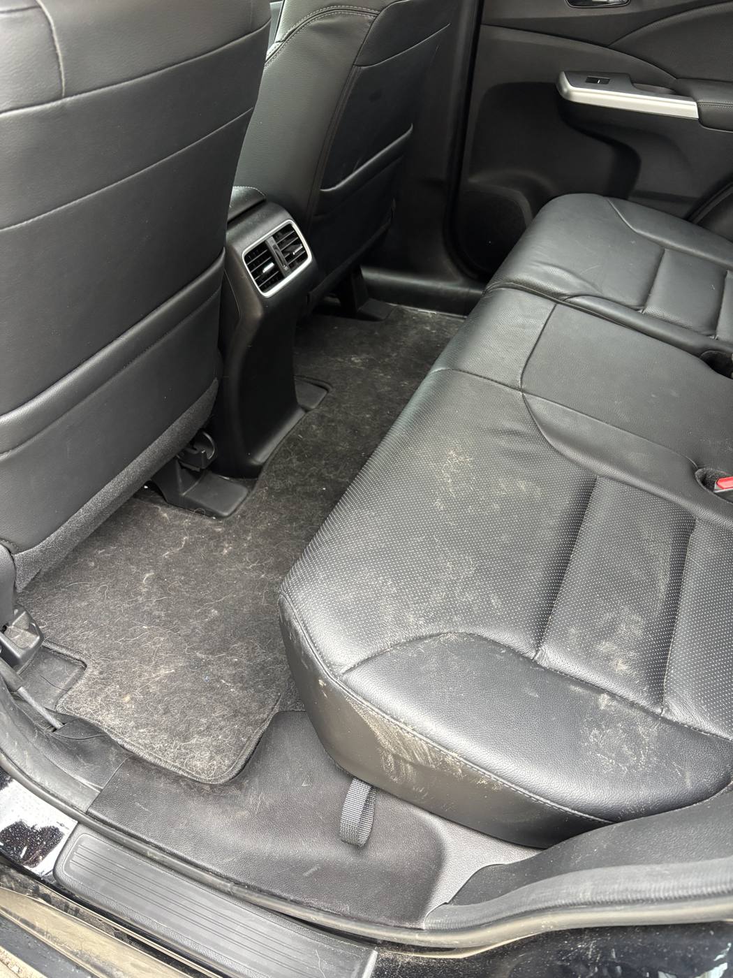 Rear seat and carpet soiled with dust and hair before detailing